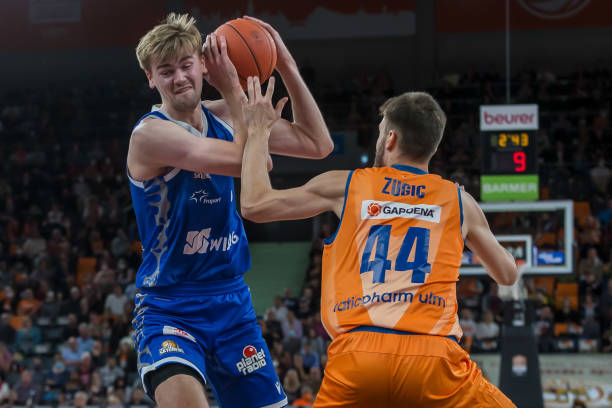 动物化的创 动物化的创