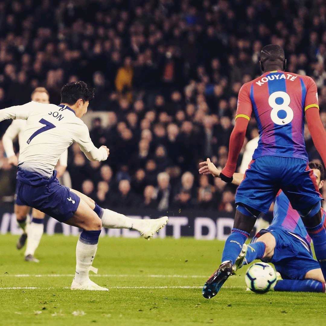 展现了他们 展现了他们